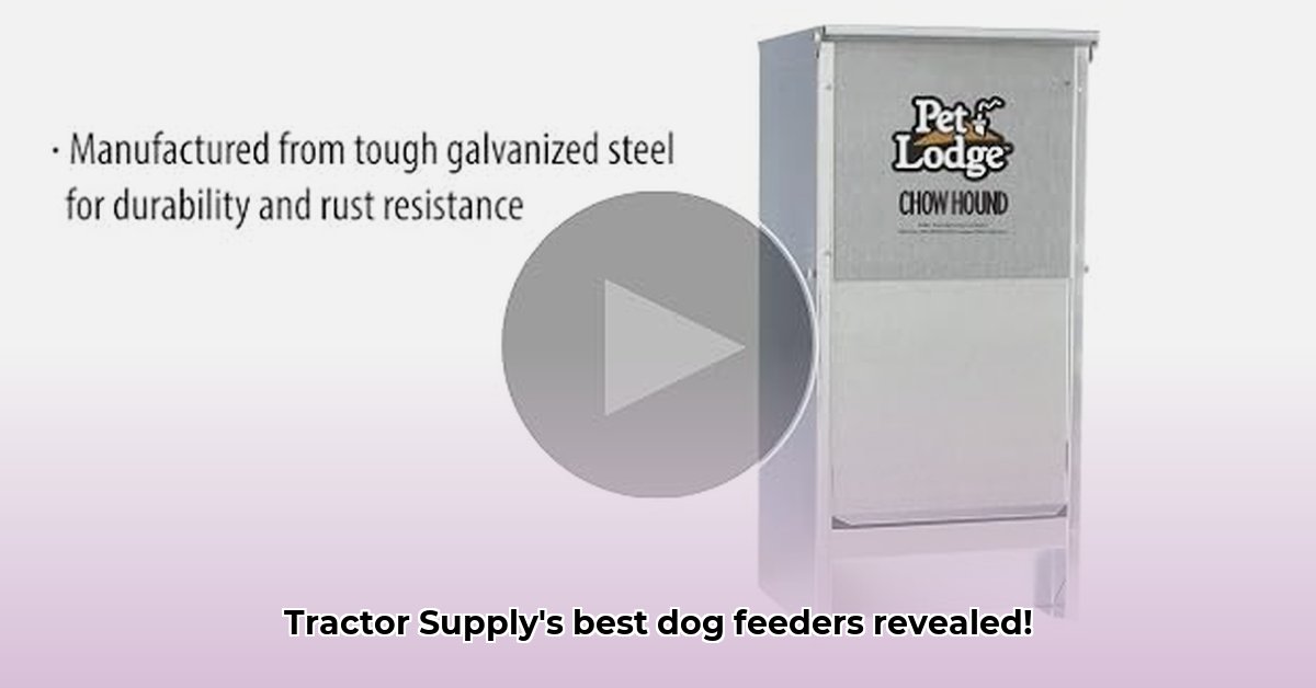 dog-feeders-at-tractor-supply